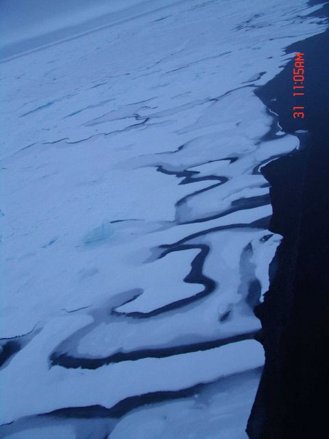 On the edge of ice floes freezing together Picture