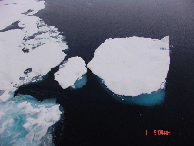 A floe of multi-year ice along the edge of the pack ice. Picture