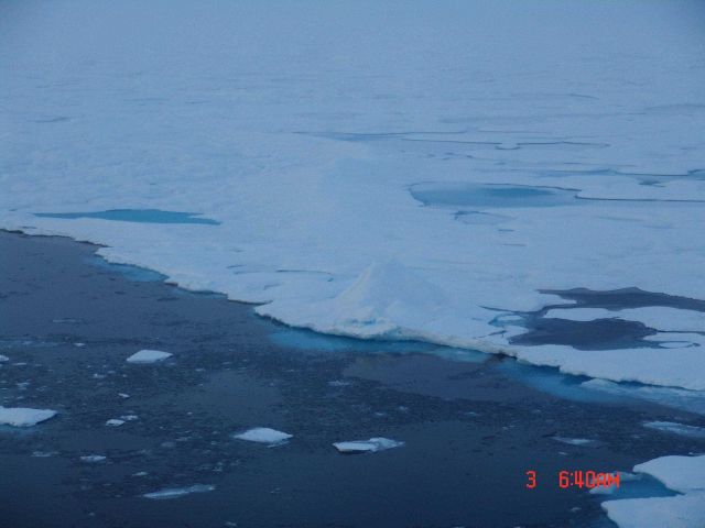 New ice forming along the edge of multi-year ice floes. Picture