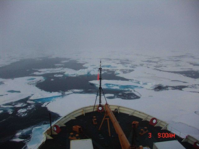 Passing through ice floes in a refreezing Arctic Ocean Picture
