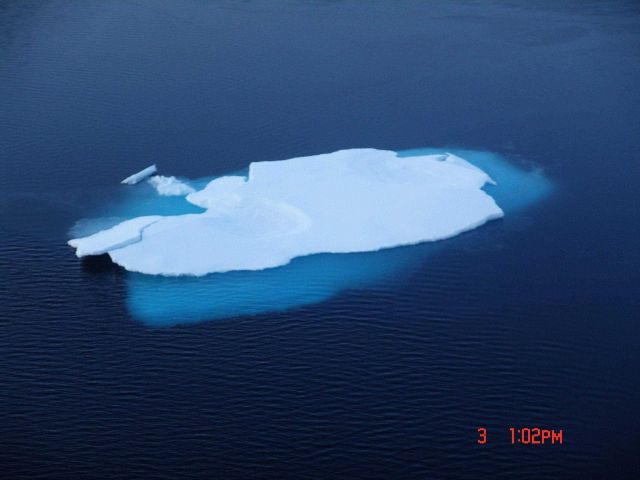 A single ice floe in an area of grease ice forming over open water. Picture