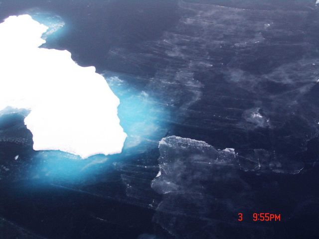 Nilas ice and frazil ice forming in open water around an ice floe. Picture