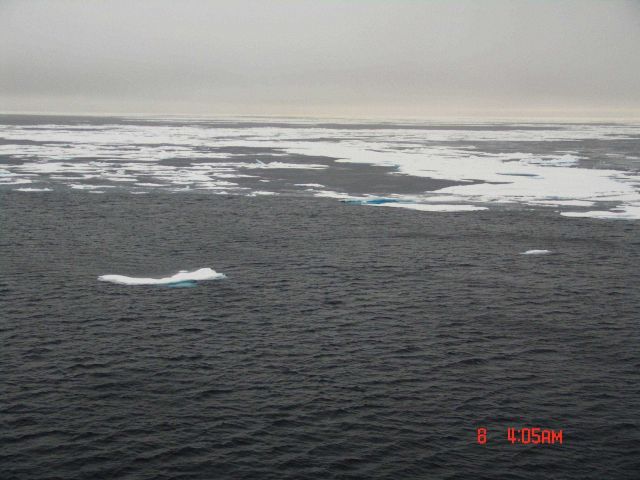 Open water with frazil ice forming between floes Picture