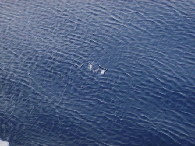 Refraction pattern in open water in vicinity of small chunk of ice. Picture