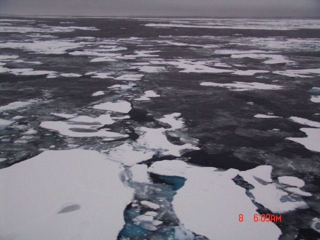 Ice floes and nilas ice in between Picture