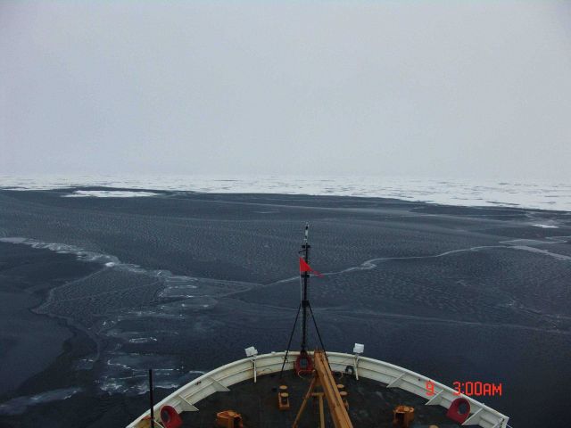 The bow of the CGC HEALY is seen as it breaks through dark nilas ice. Picture