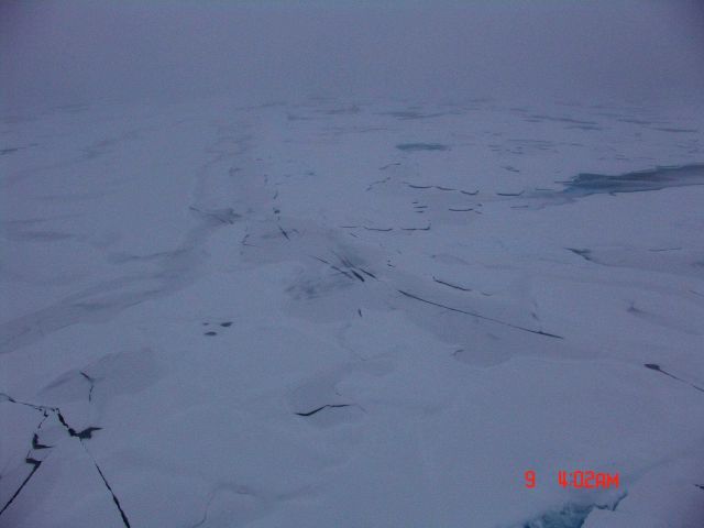 An area that has almost completely refrozen with snow covering refrozen and new ice areas. Picture