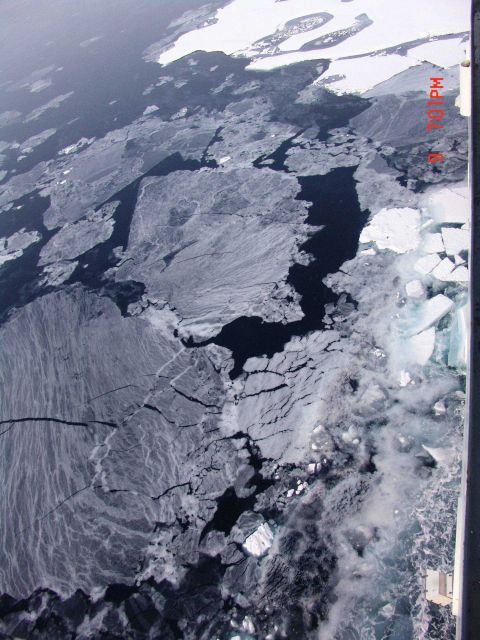 Grey ice forming large pancakes. Picture