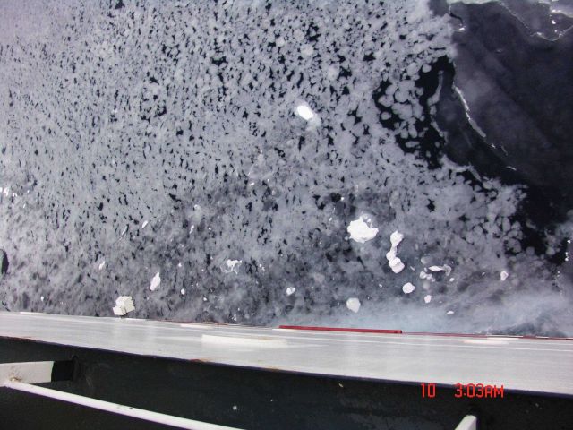 Small pancakes forming an almost continuous floe Picture