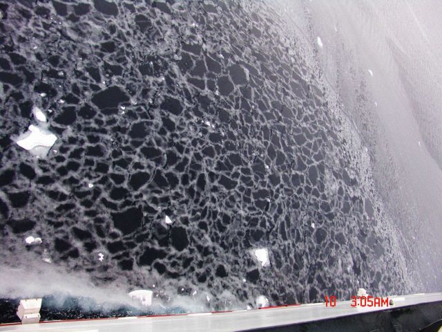 Nilas ice cracking and refreezing along boundaries between individual pieces of ice. Picture