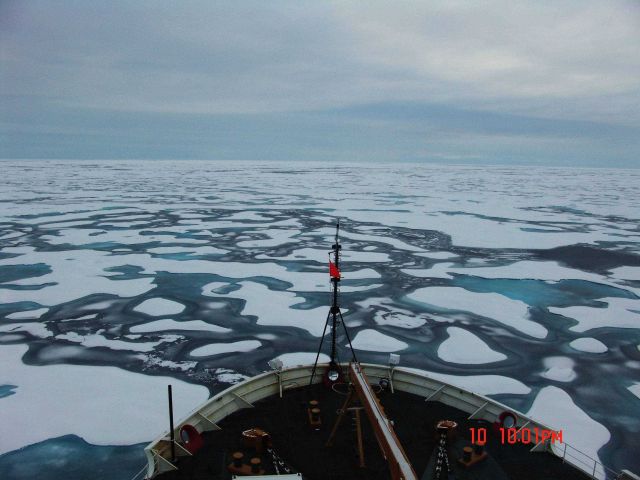Ice floes with melt pools in various stages of refreezing Picture