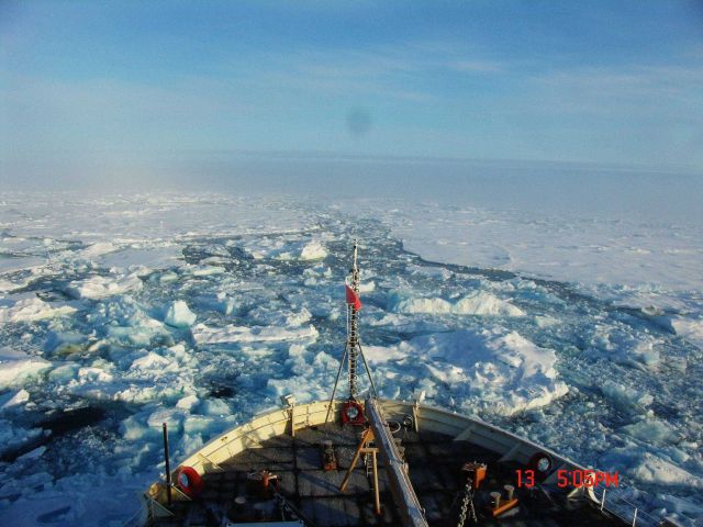 Refreezing brash ice with nearly solid pack ice ahead. Picture