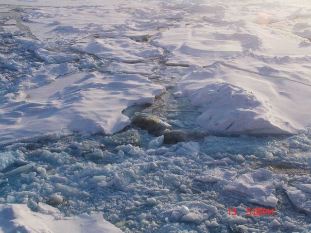 Brash ice and ice floes freezing together Picture