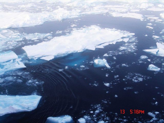 Brash ice, frazil ice and ice floes. Picture