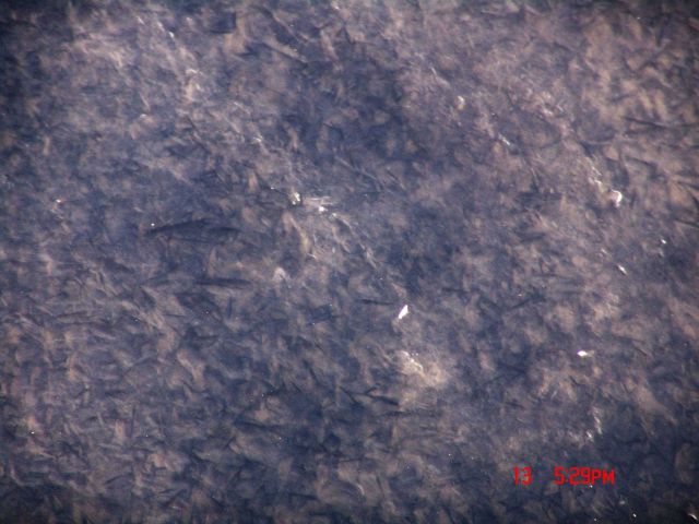 Ice crystals frozen together. Picture