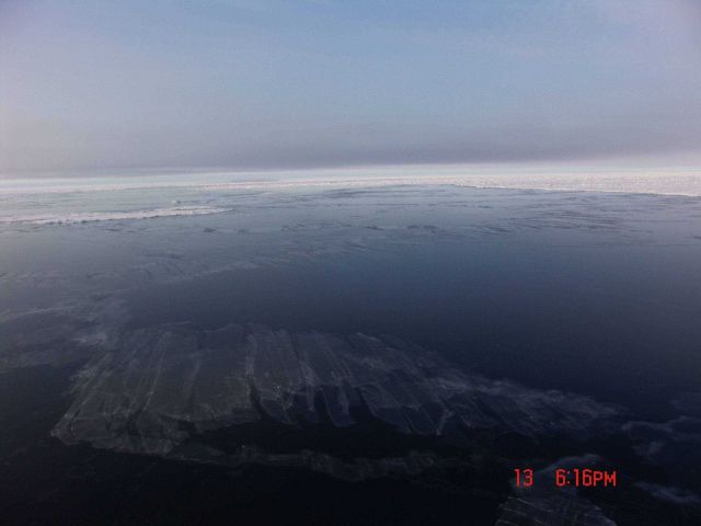 Nilas ice and frazil ice in foreground with ice floes and ice pack in the distance. Picture