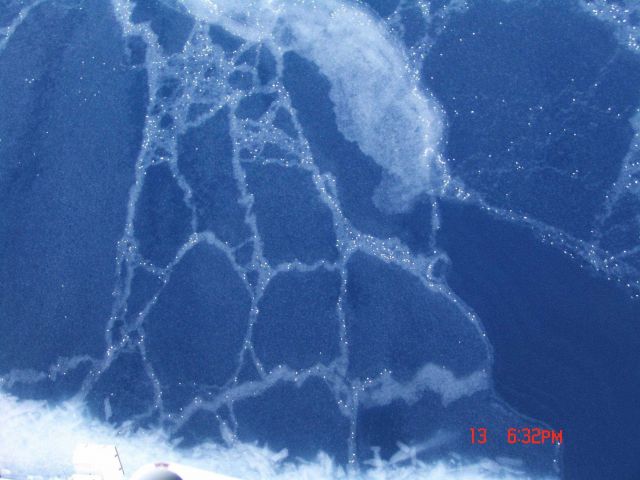 Broken and refrozen surface of new ice Picture