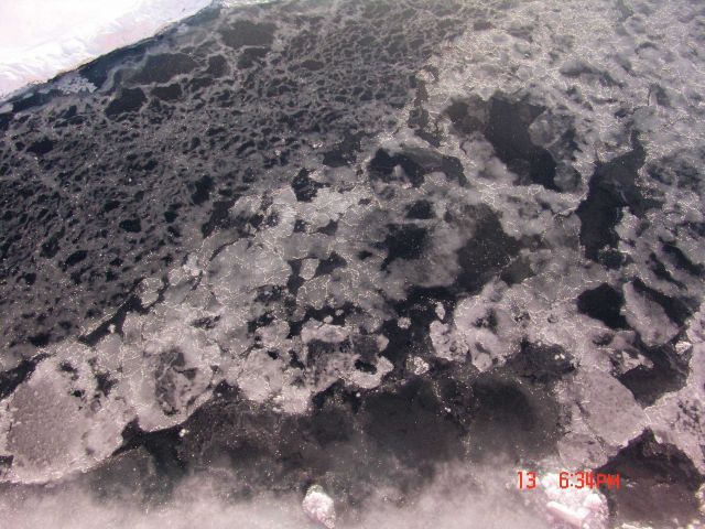 Broken and refrozen surface of new ice Picture