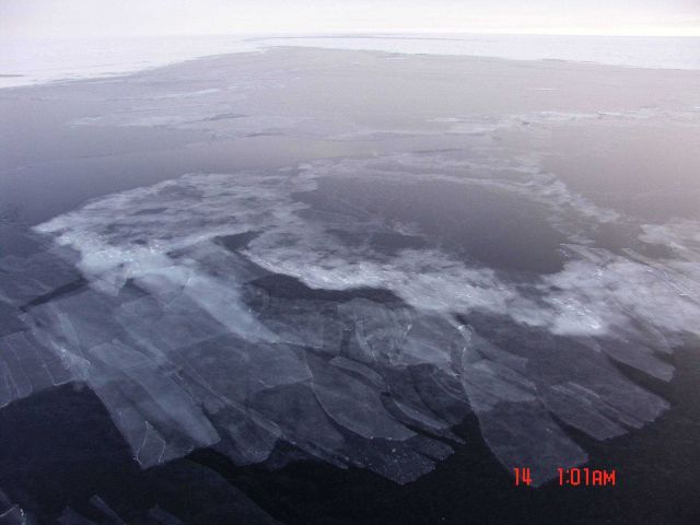 New ice composed of nilas ice and frazil ice. Picture