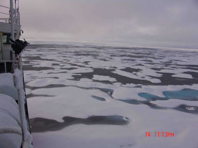 Ice floes freezing together to form solid ice surface. Picture