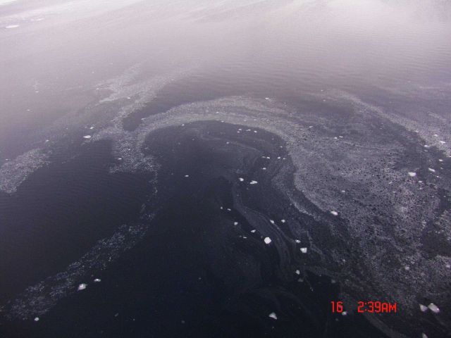 Swirls of nilas forming on open water Picture