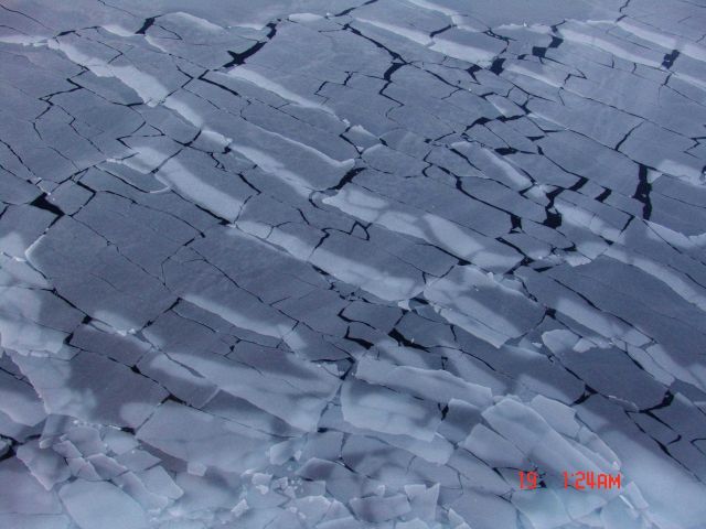 New grey ice cracking into rectangular sheets as the CGC HEALY plows through new ice. Picture