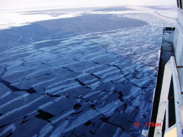 New grey ice cracking into rectangular sheets as the CGC HEALY plows through new ice. Picture
