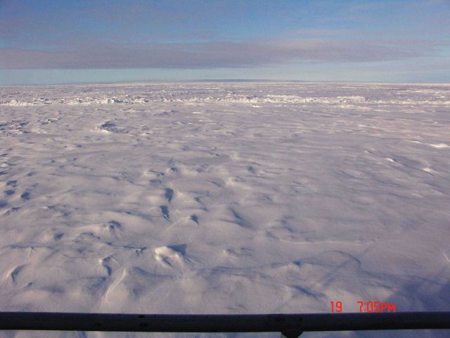 An ice field stretching to the horizon. Picture