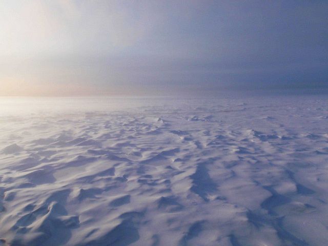 Hummocky appearance of multi-year ice seen through an ice crystal haze. Picture