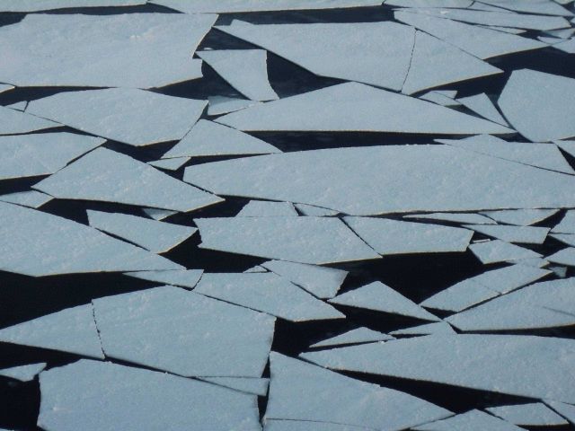 Polygons of new ice form striking geometric patterns. Picture