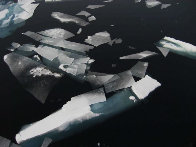 Polygons of new ice form interspersed with small first year ice floes. Picture