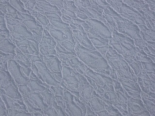 Pancake ice frozen together Picture