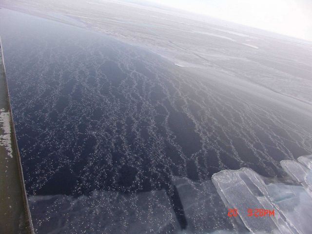 Rafting nilas covered with frost flowers. Picture