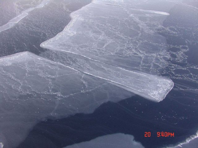 Rafting nilas covered with frost flowers. Picture
