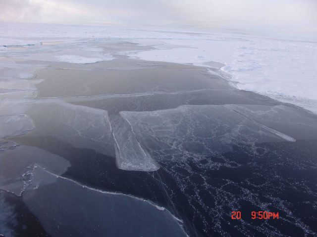 Rafting nilas covered with frost flowers with first-year and multi-year ice in upper third of image. Picture