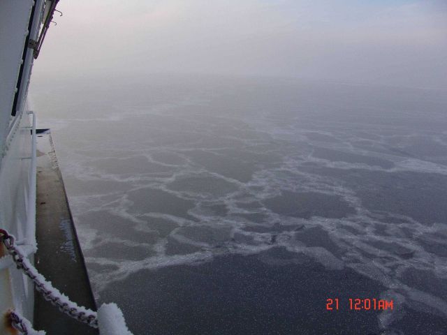 New ice forming over large area of open water with frost flowers on a foggy misty day. Picture
