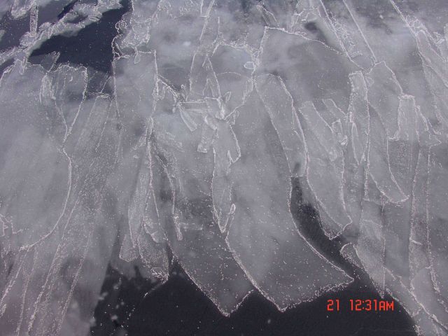 Interlocking fingers of newly forming ice with frost flowers. Picture