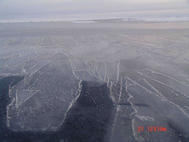 Polygons of newly forming ice with frost flowers. Picture