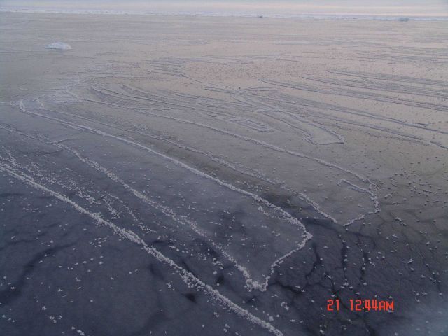 Polygons of newly forming ice with frost flowerstending to congregate along the edges. Picture