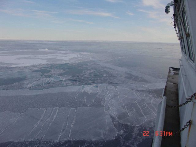 Nilas ice broken into interlocking fingers with frost flowers on surface. Picture