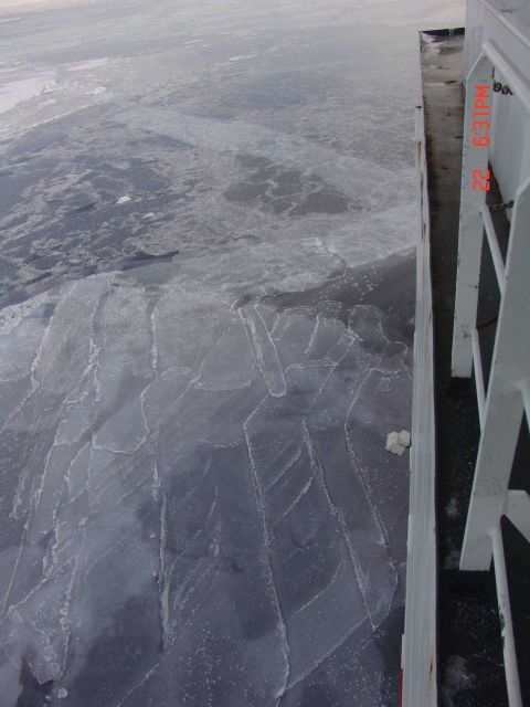 Nilas ice broken into interlocking fingers with frost flowers on surface. Picture