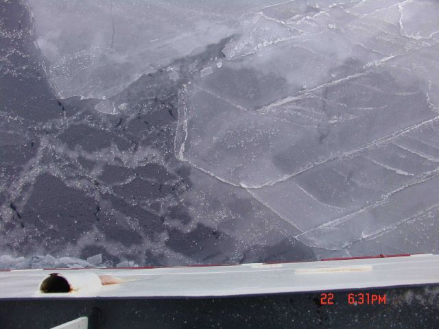Interlocking fingers of nilas ice with frost flowers Picture