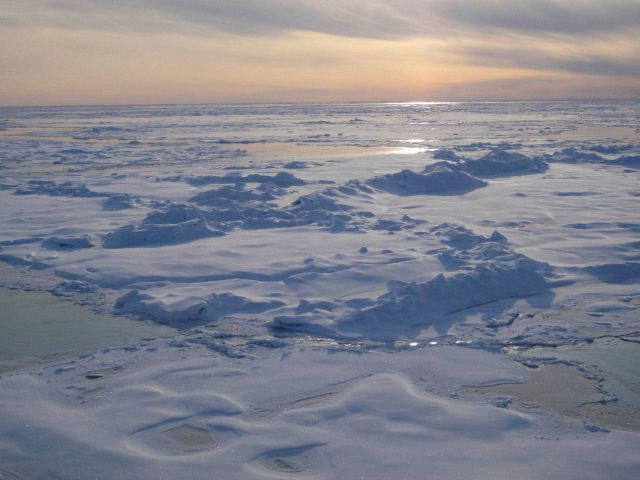 Hummocky multi-year ice with refrozen melt pools. Picture