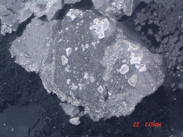 Large and small pancake ice with frost flowers Picture