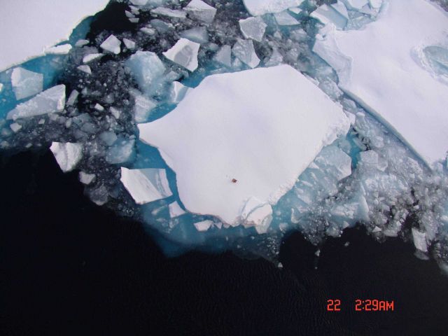 Small floe surrounded by brash ice with box on floe for scale. Picture