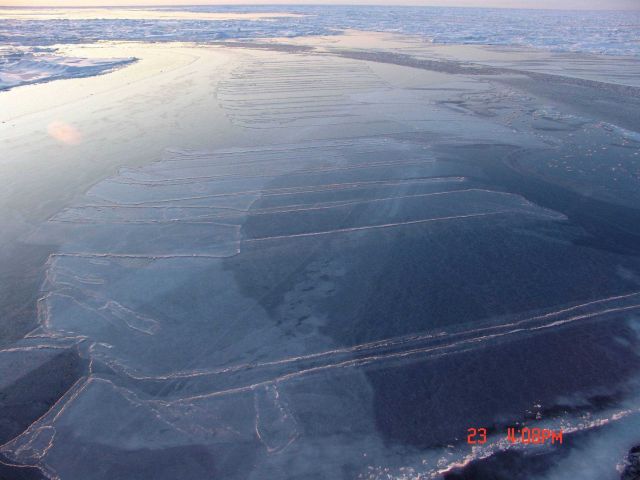 Rafting nilas ice Picture