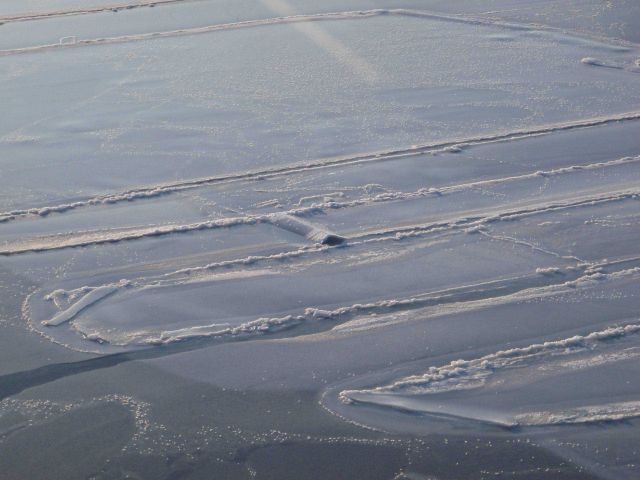 Rafted nilas which as it thickens become grey-white ice Picture