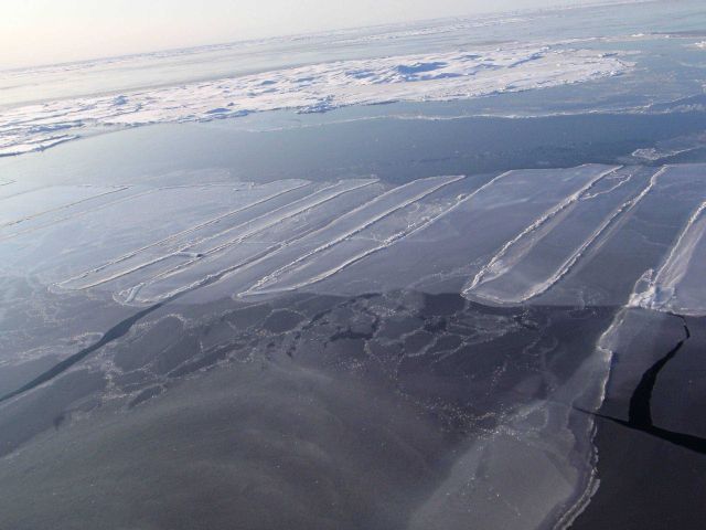 Interlocking fingers of nilas ice with frost flowers with floe of multi-year ice in upper center of image. Picture
