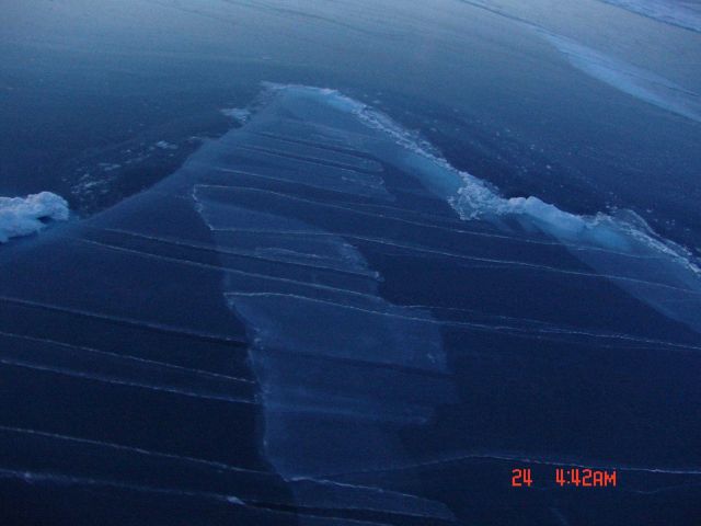 Interlocking fingers of nilas ice Picture