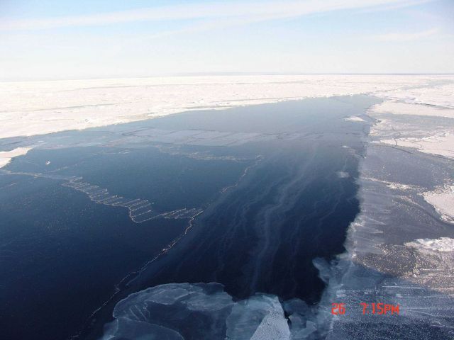 Frazil ice and interlocking fingers of nilas ice covered with frost flowers and first year ice floes Picture